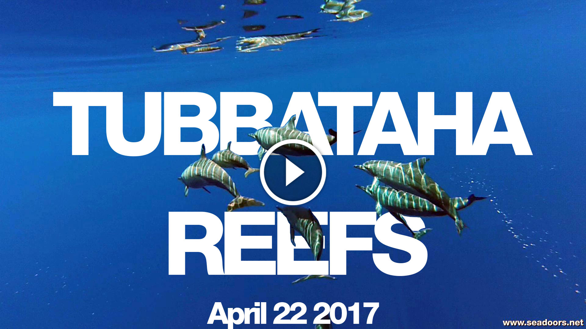 Tubbataha Seadoors Liveaboard April 22 2017