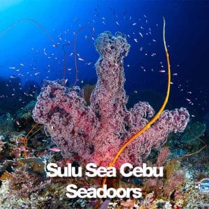 MER DE SULU CEBU START 12 J february 27 2027