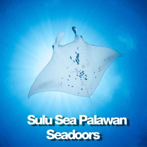 MER DE SULU PALAWAN START 11 J july 20 2027